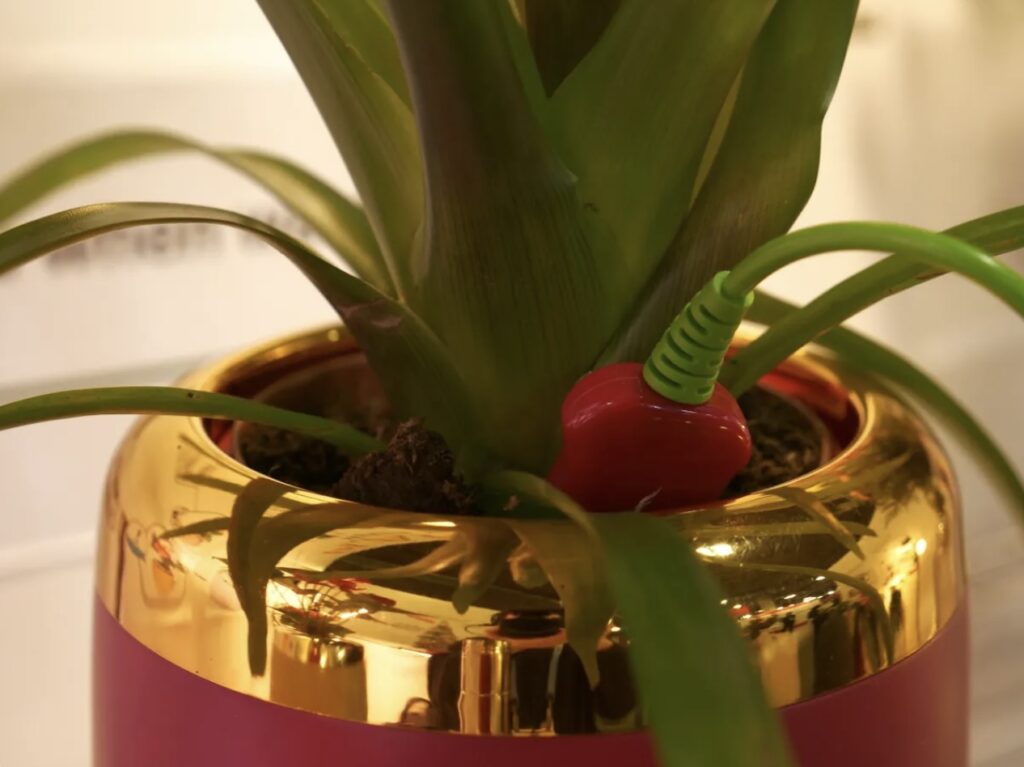 Explora la última innovación del CES 2024 que está revolucionando la manera en que interactuamos con nuestras plantas de interior. PlantPetz Smart Pot trae a tus plantas a la vida, convirtiéndolas en adorables mascotas que bailan al ritmo de la música. Descubre cómo esta increíble tecnología está cambiando la forma en que cuidamos nuestras plantas.