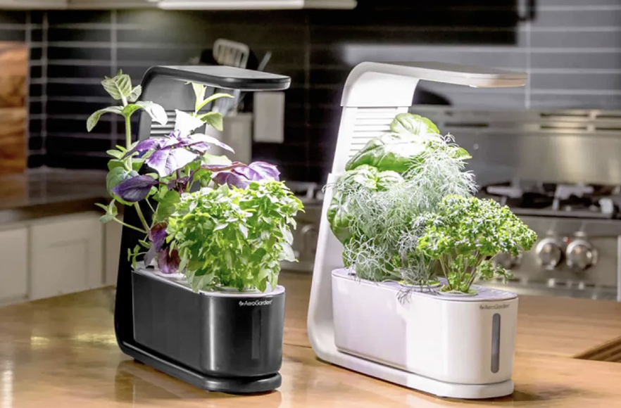 AeroGarden, conocido por sus innovadores kits de jardines inteligentes para interiores, ha anunciado su cierre a partir del 1 de enero de 2025. Este cambio afecta no solo a sus productos, sino también a la aplicación que permite a los usuarios controlar sus dispositivos de cultivo.